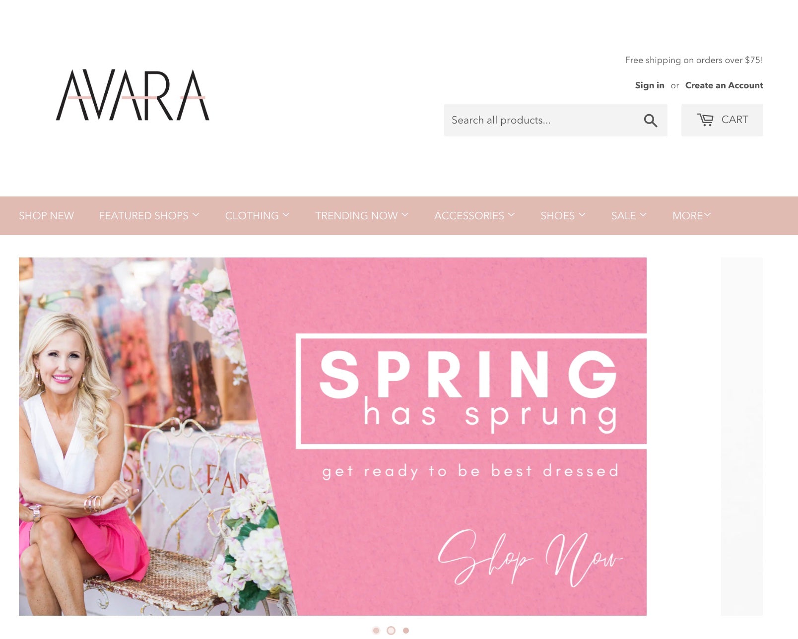 avara website home page