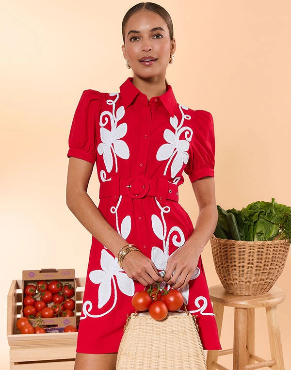 Woman in a red dress with white floral patterns holding tomatoes, standing next to a basket of vegetables on a beige background.