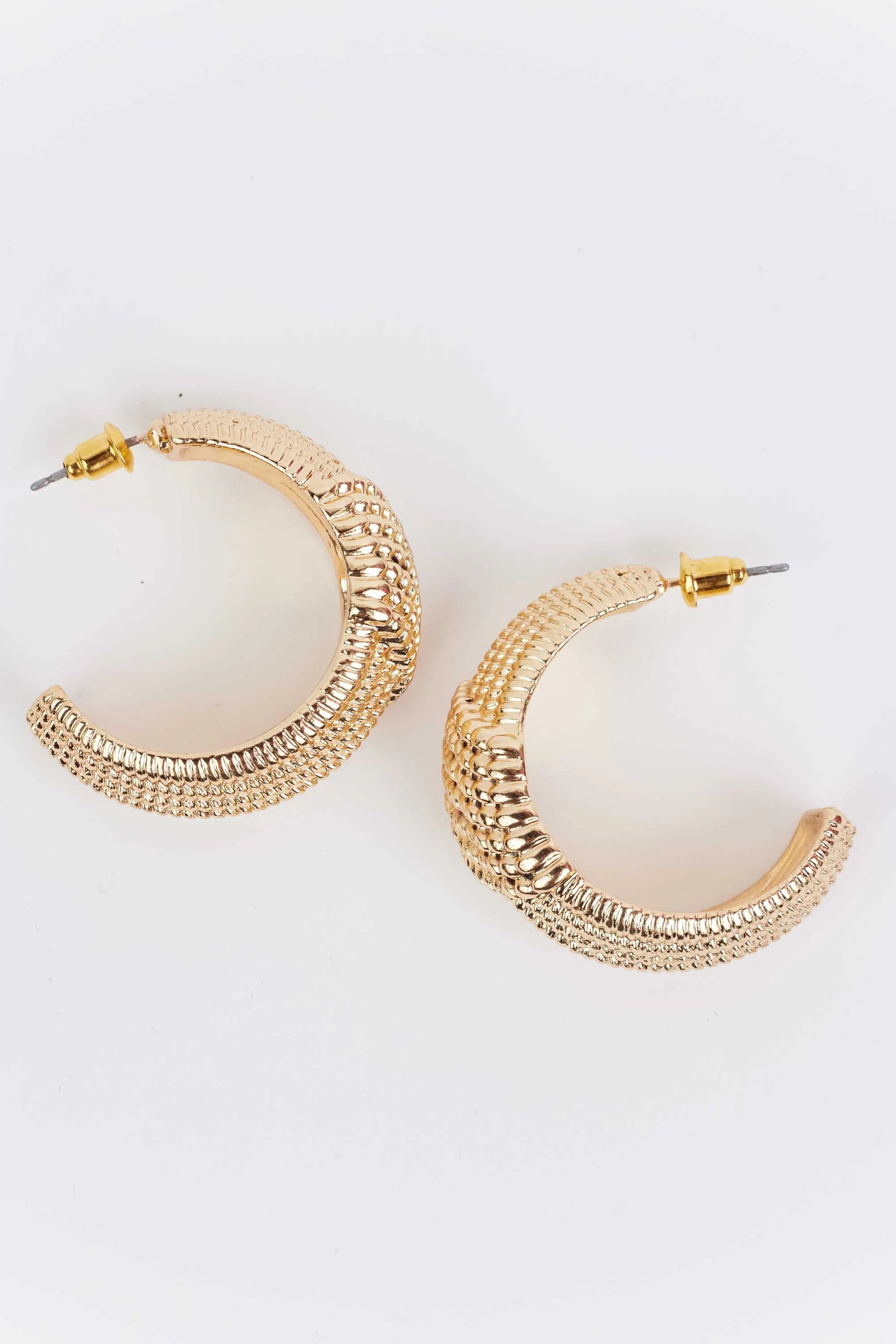 Aubrey Hoop Earrings