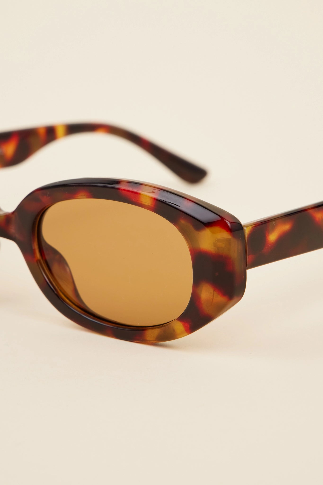 Taylor Sunglasses- Tortoise