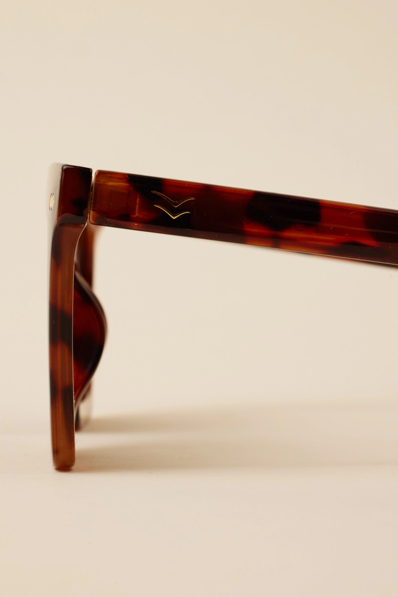 Charlie Polarized Sunglasses