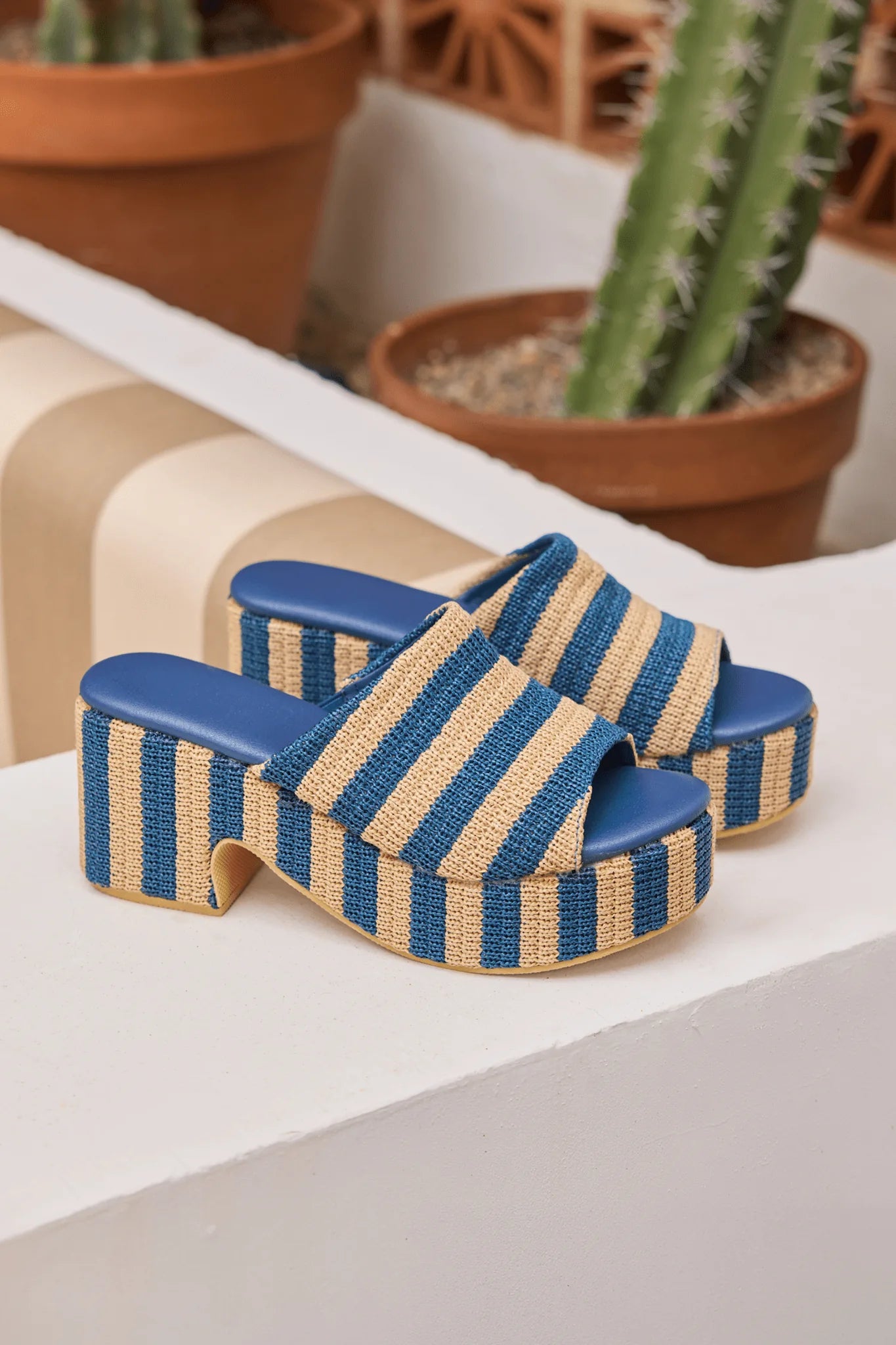 Blue and beige striped sandals on a white surface with cacti in the background