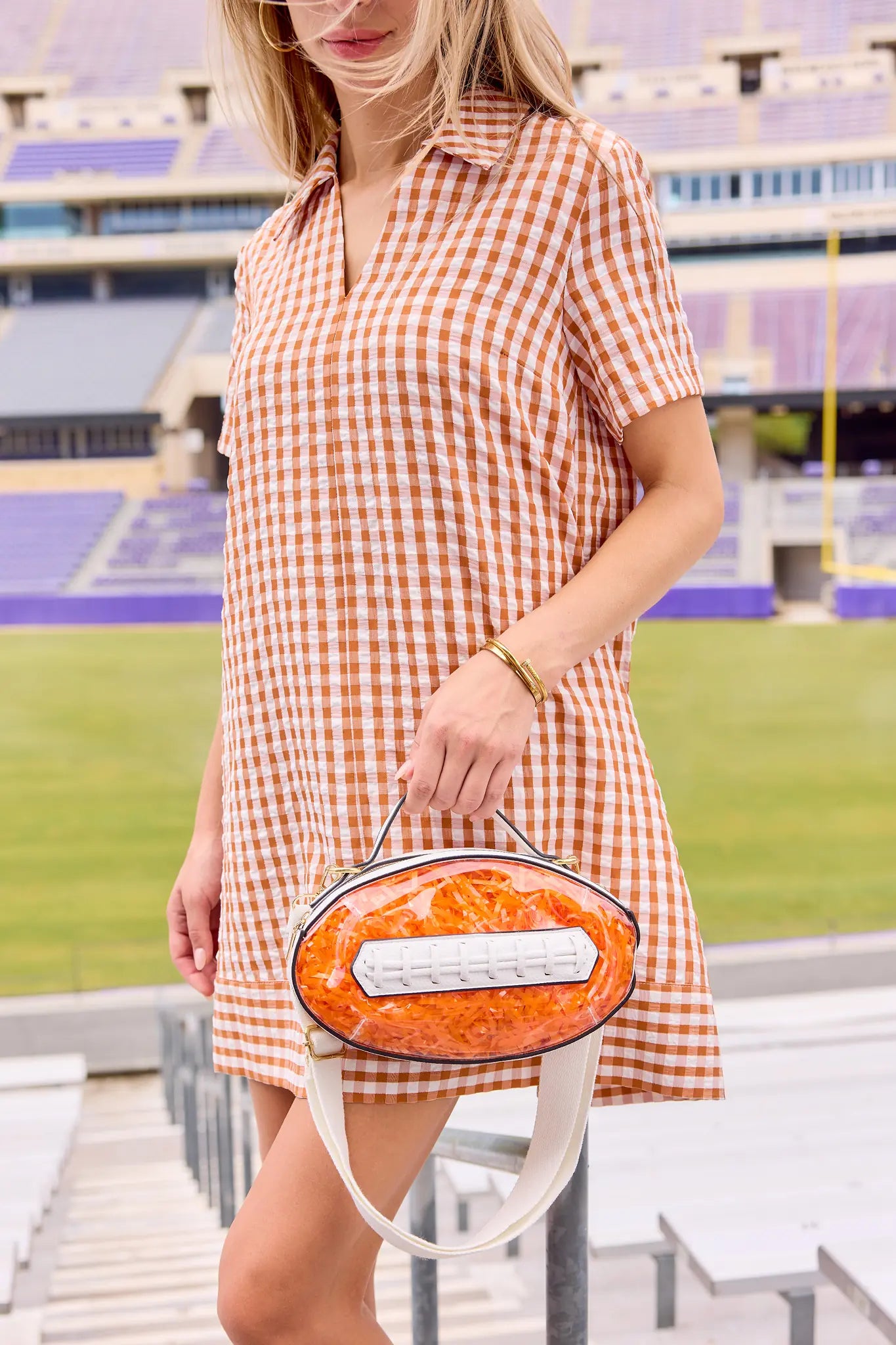 Tia Rust Gingham Collared Short Dress