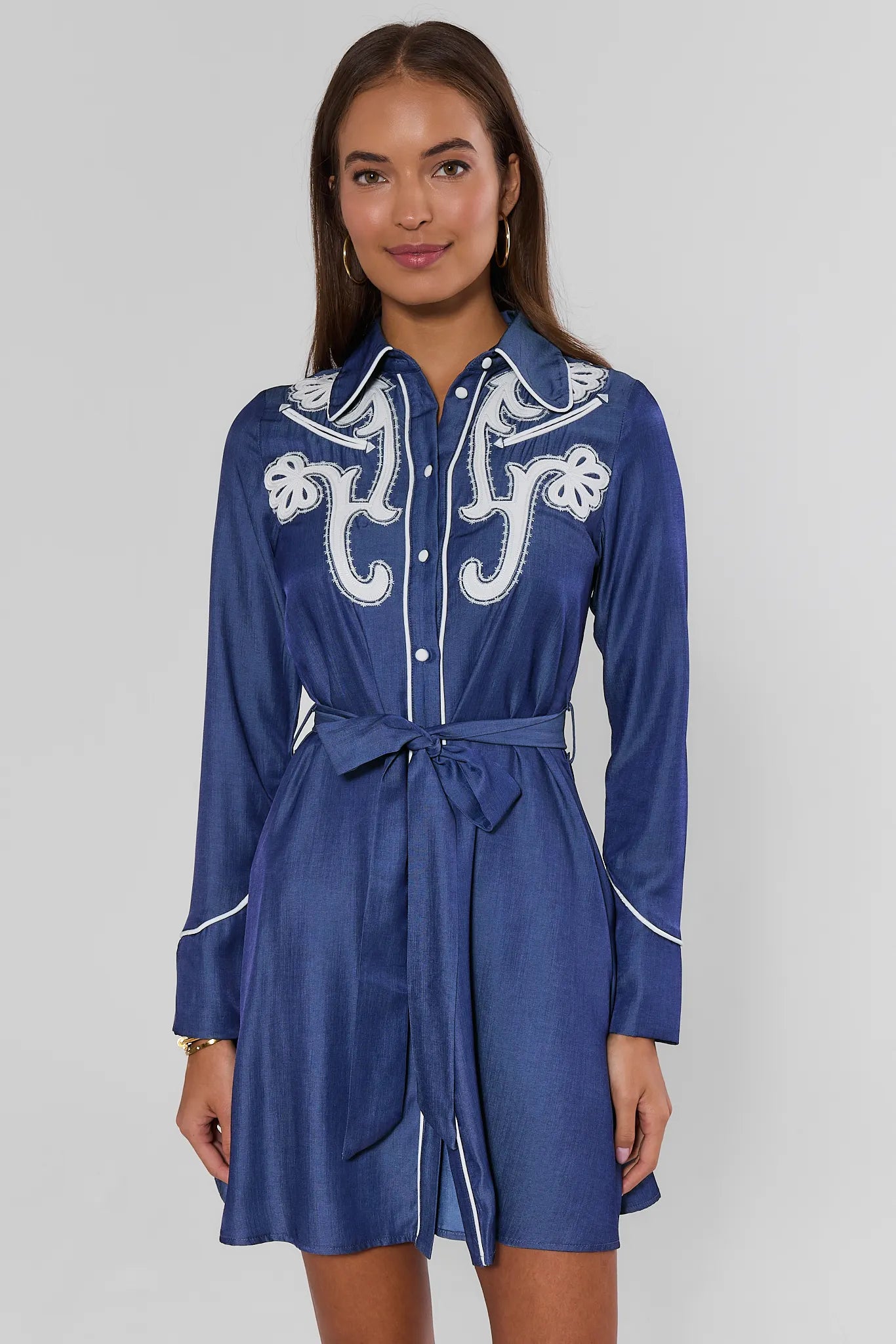 Chambray Embroidered Short Dress