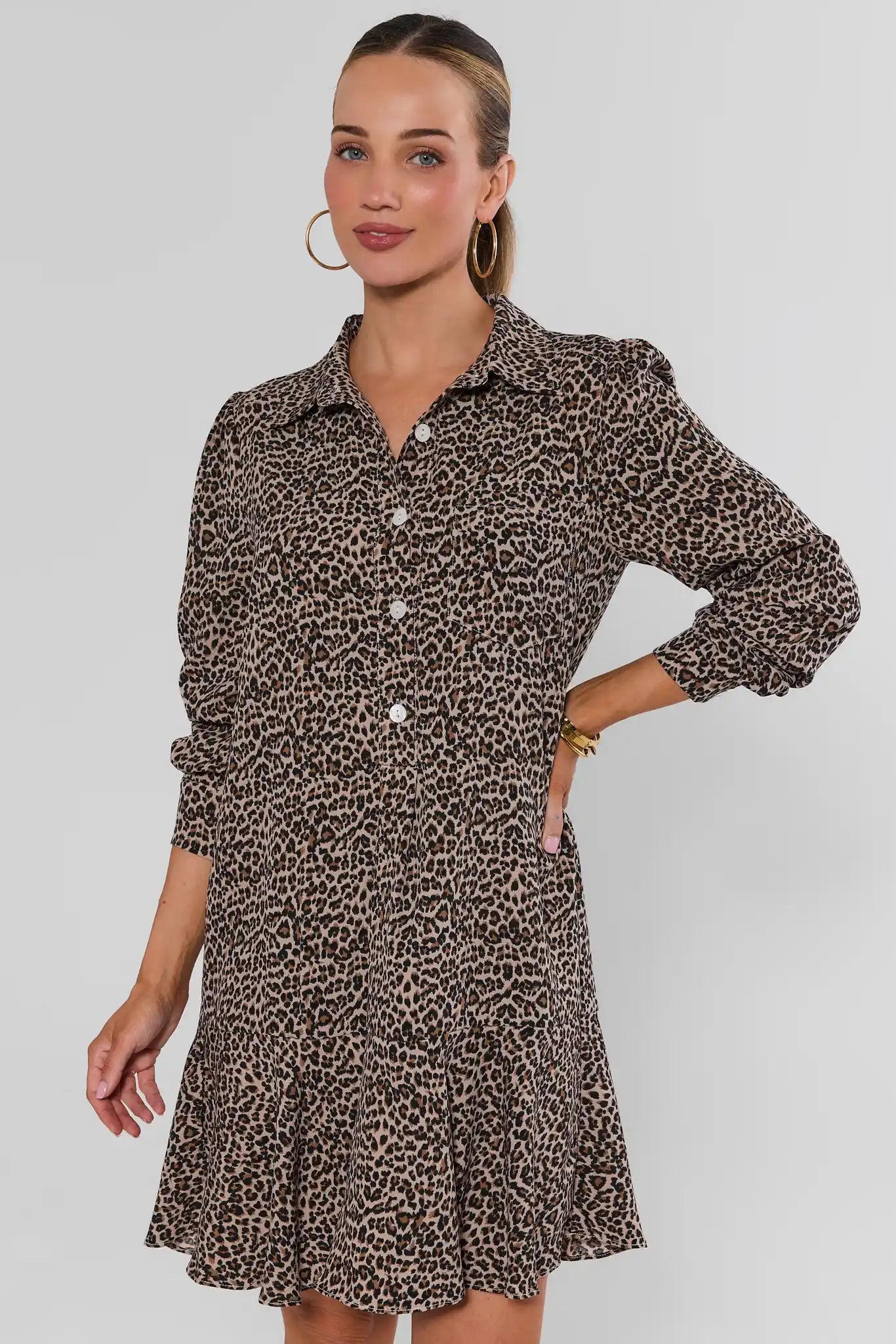 Meagan Leopard Drop Waist Dress