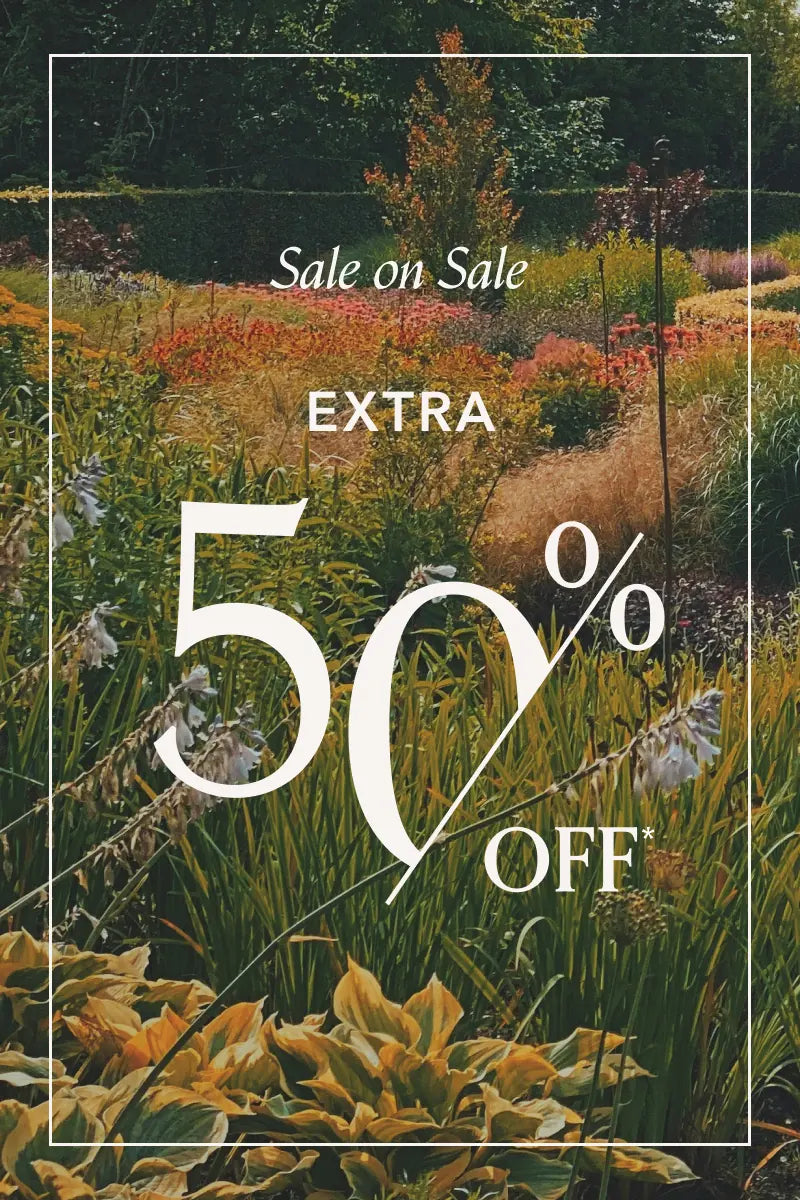 Garden scene with 'Sale on Sale Extra 50% Off' text overlay