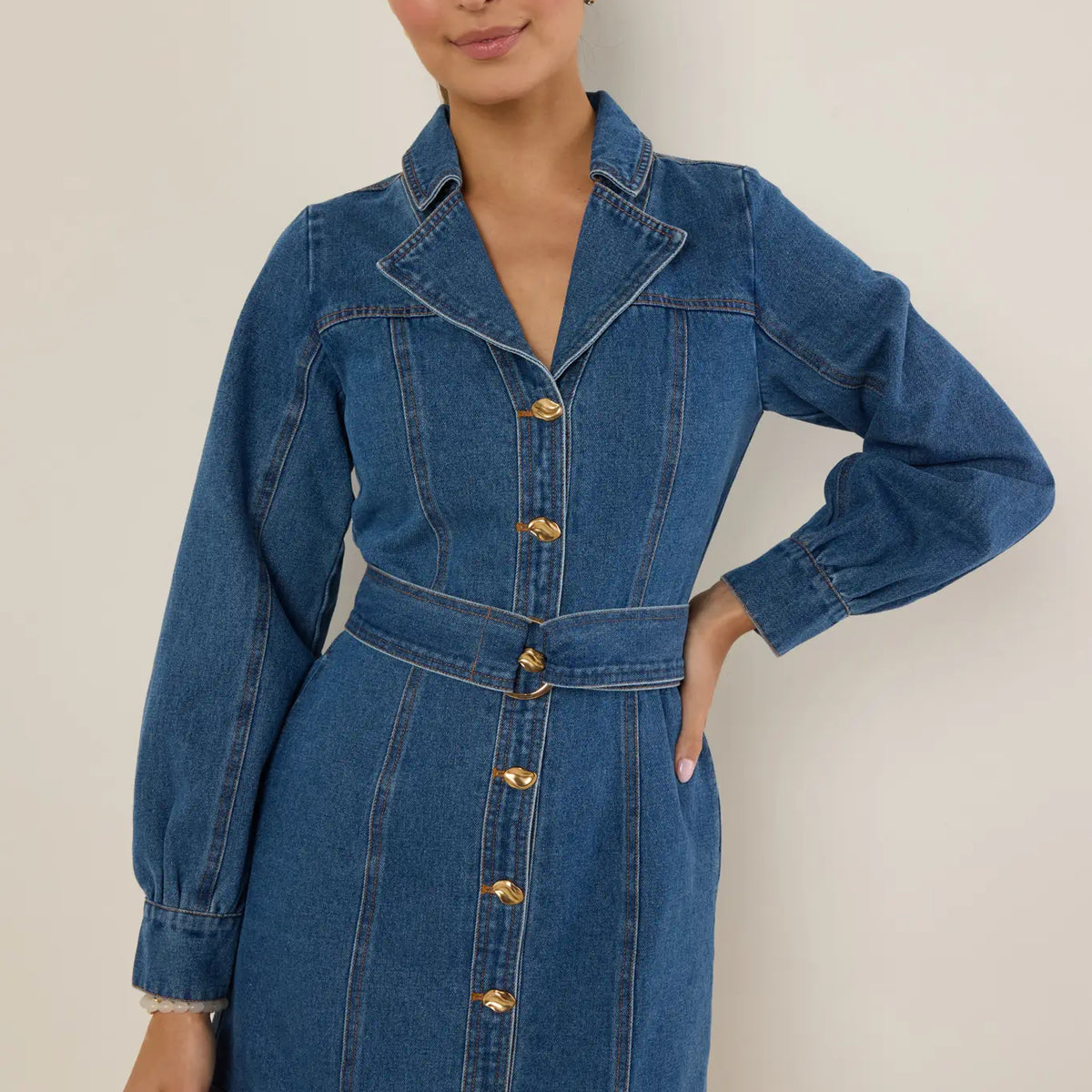 Adrienne Denim Button Up Short Dress | Women's Clothing