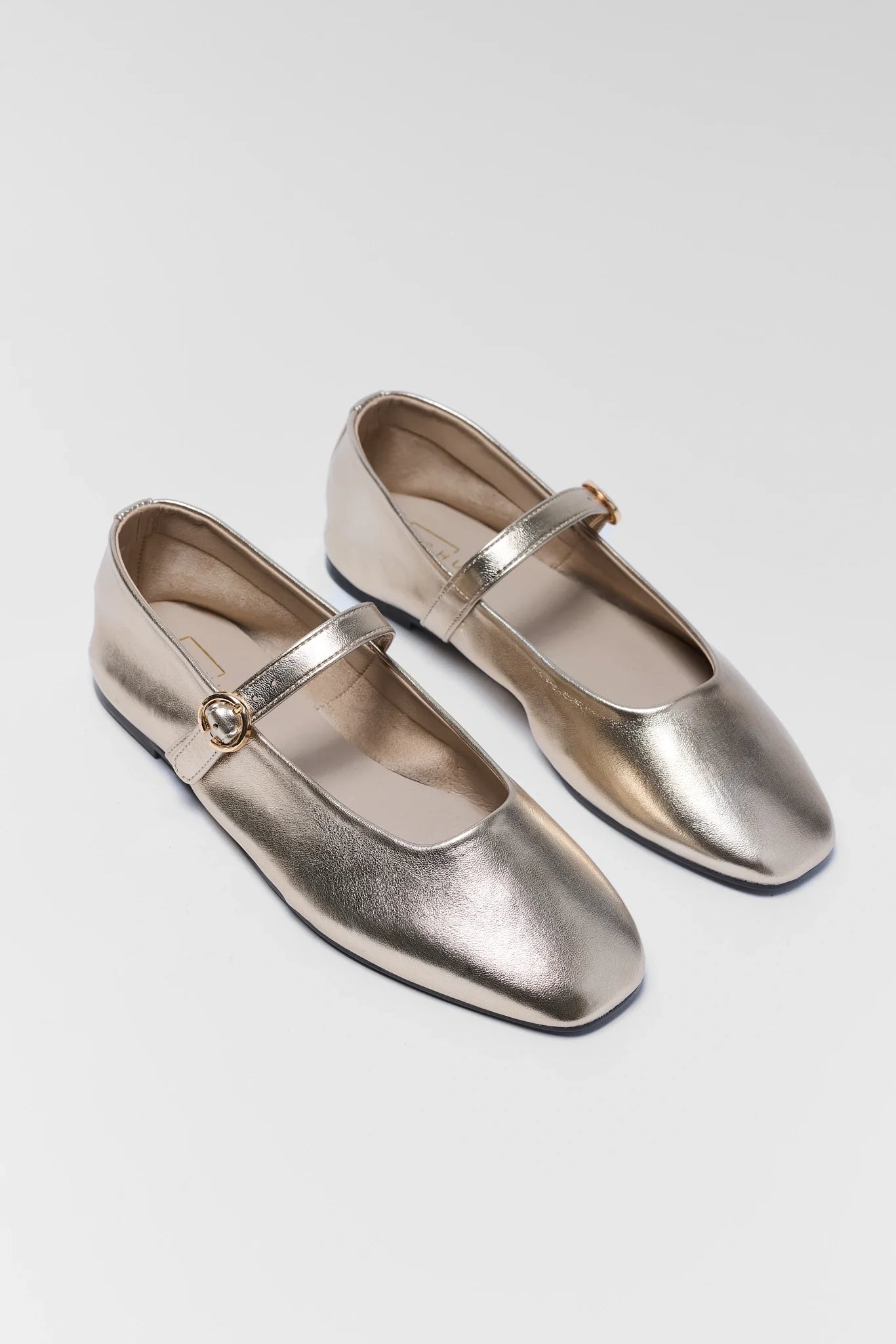 Pair of metallic shoes with a strap on a light gray background