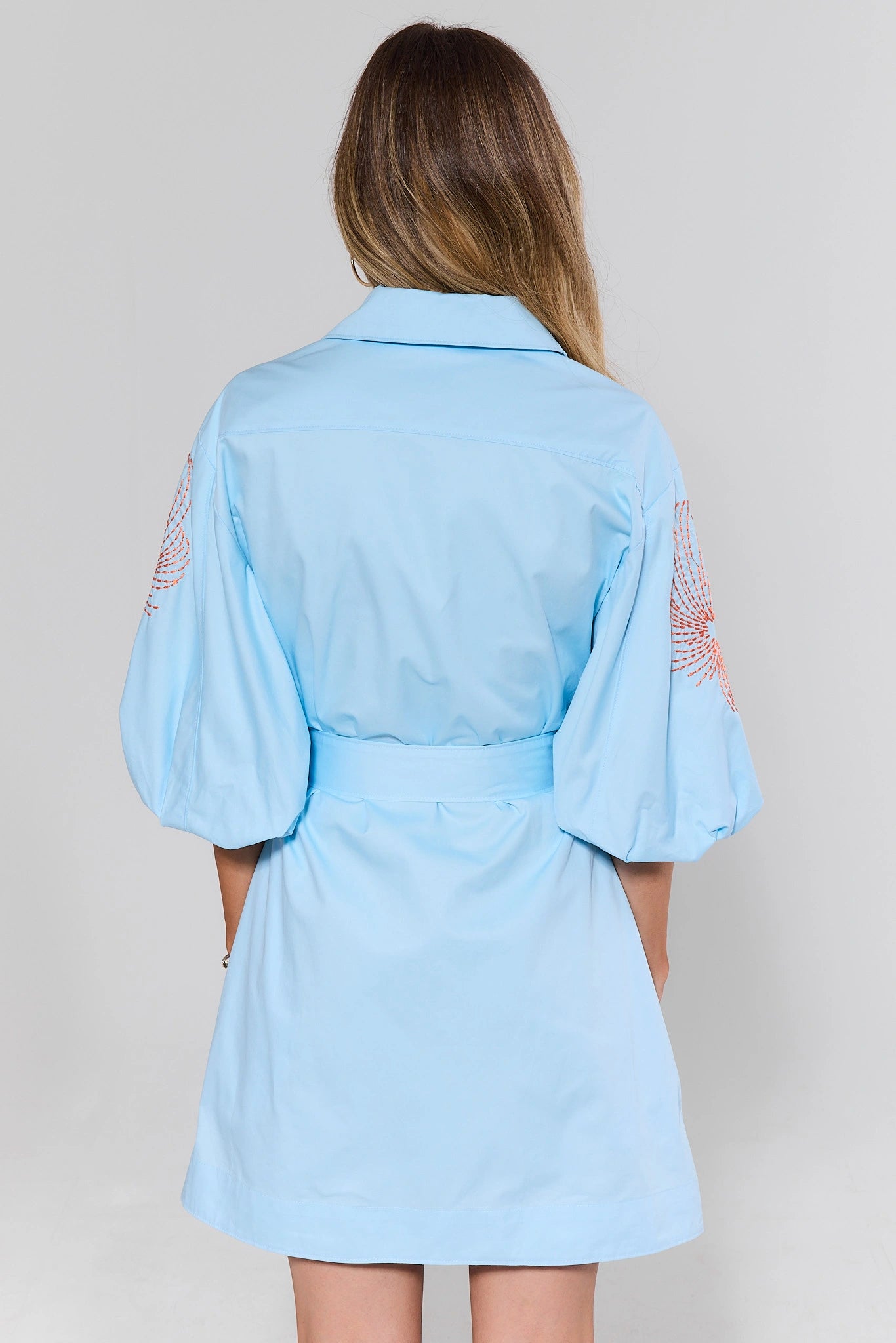 standing Light blue dress with lace sleeves worn by a person on a plain background