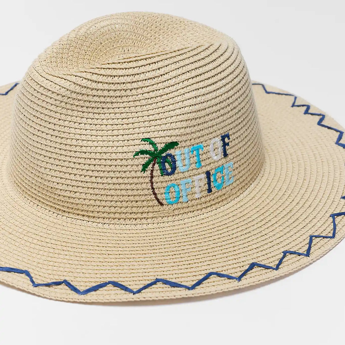 Raffia Embroidered Wide Brim Hat | Avara