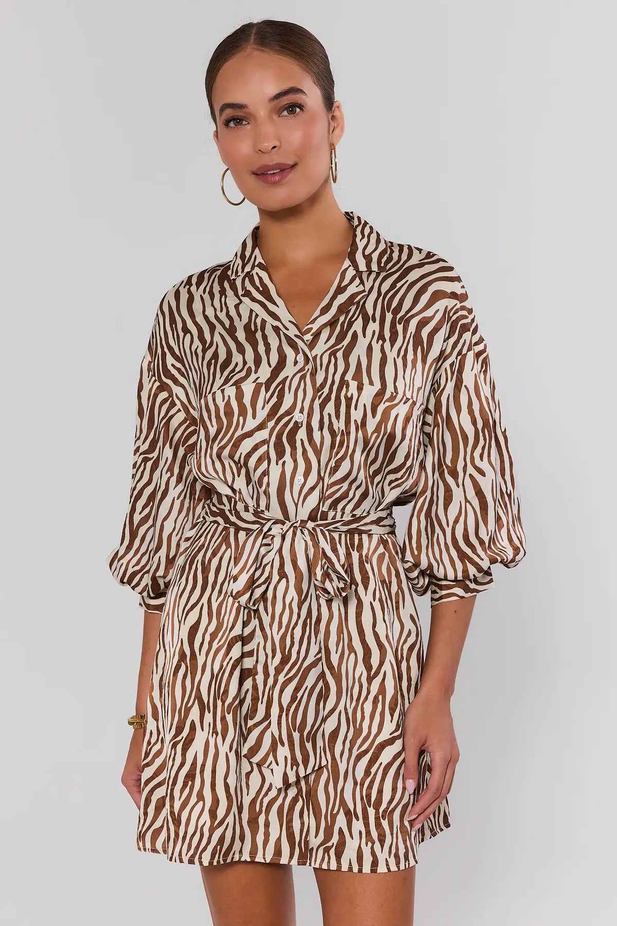 Brown Printed Button Up Short Dress