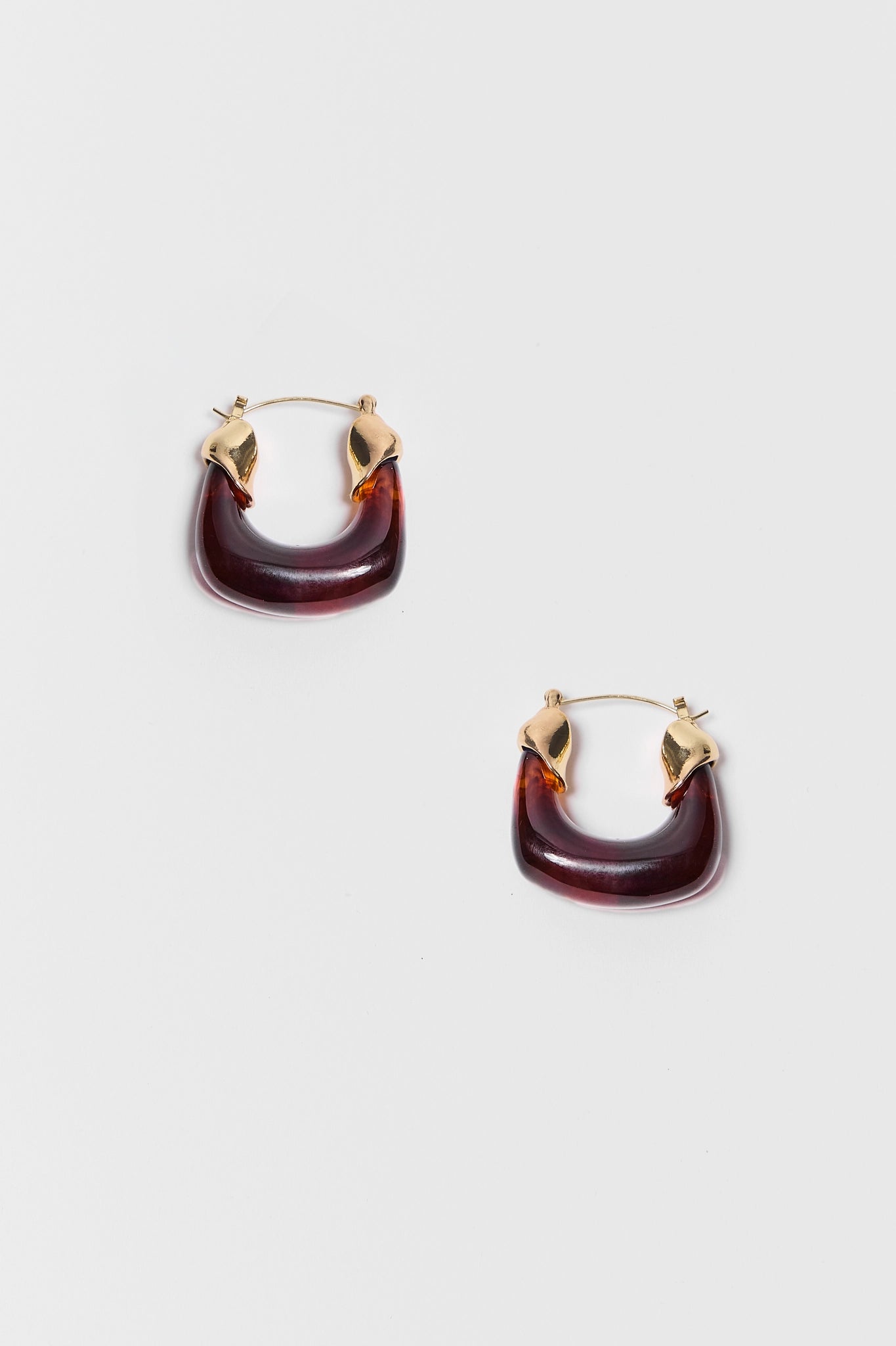 Kenley Acrylic Hoop Earrings