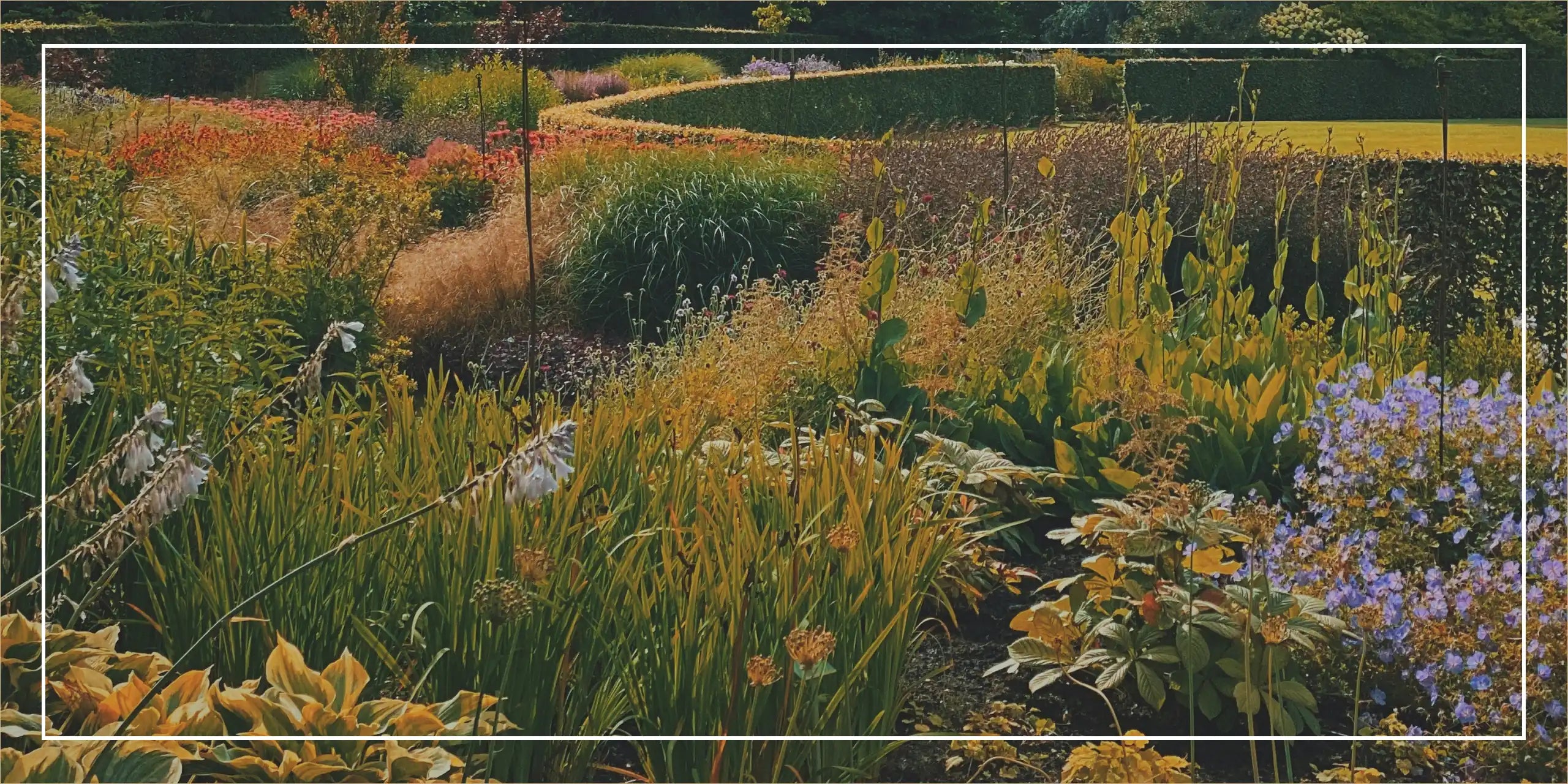 Colorful garden with a variety of plants and flowers in an outdoor setting